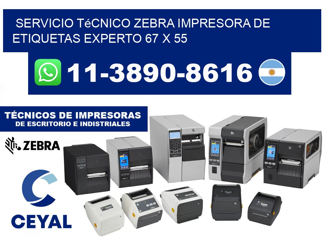 Servicio Técnico Zebra Impresora de Etiquetas Experto 67 x 55