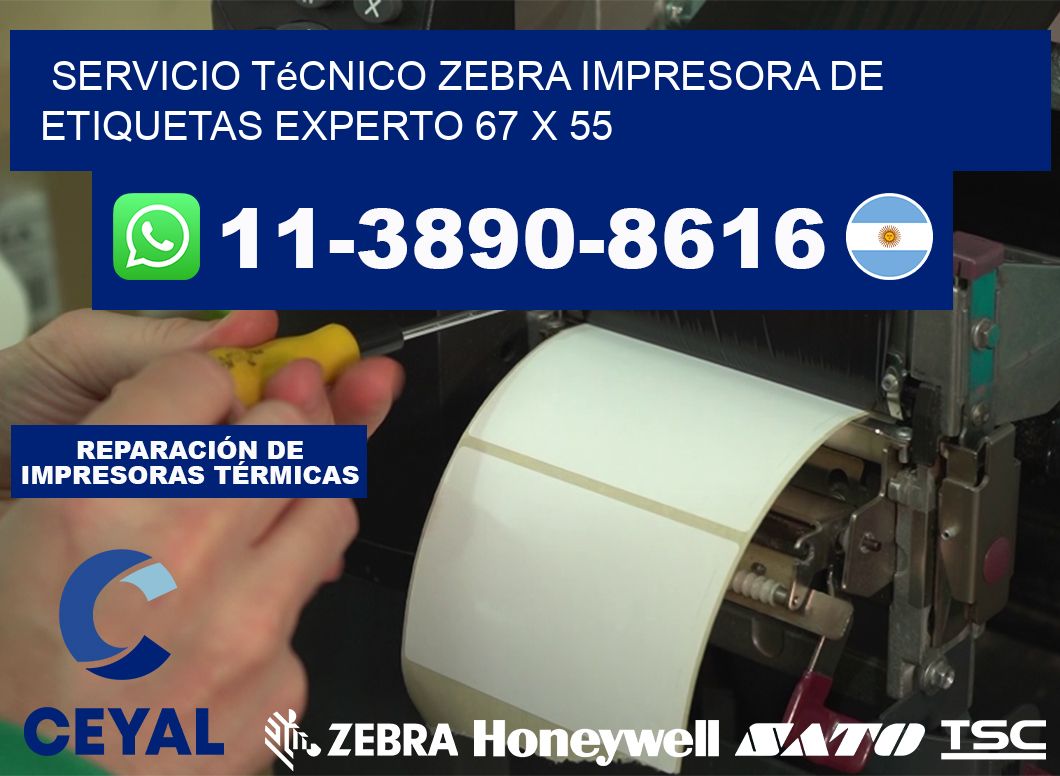 Servicio Técnico Zebra Impresora de Etiquetas Experto 67 x 55