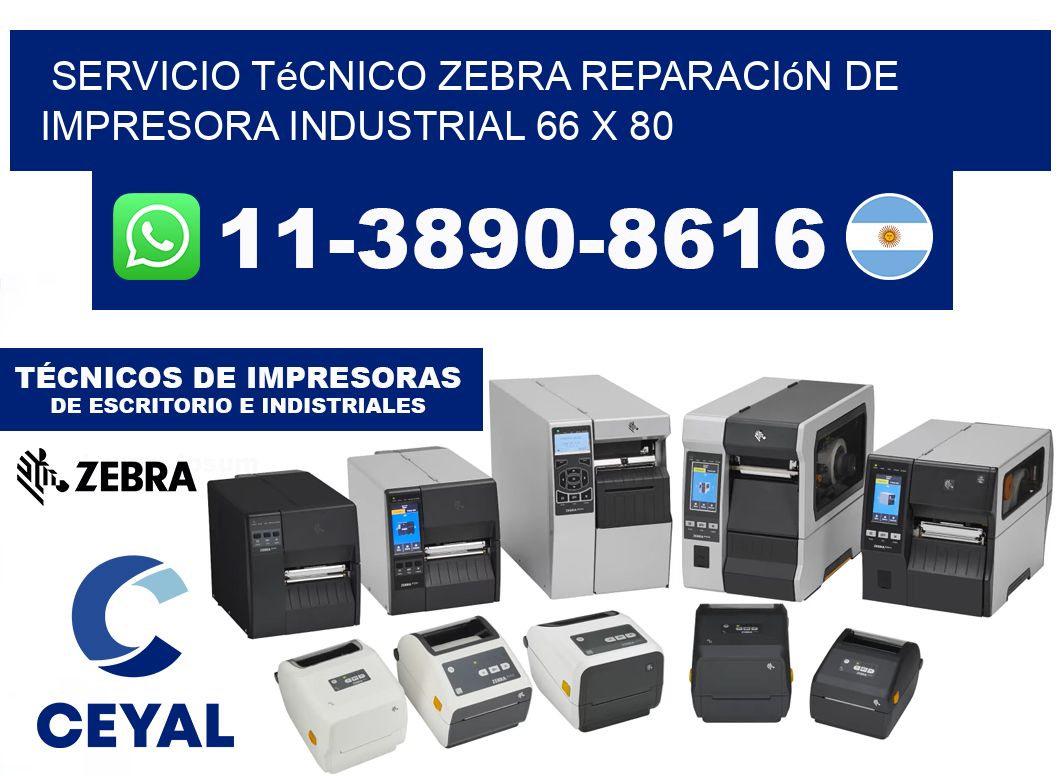 Servicio Técnico Zebra Reparación de Impresora Industrial 66 x 80