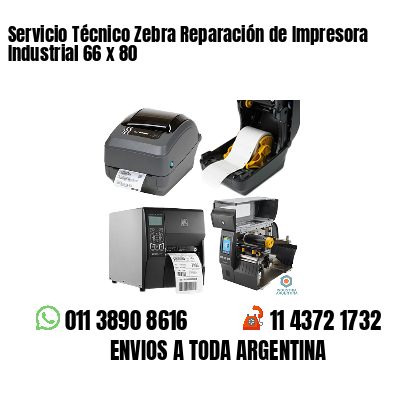 Servicio Técnico Zebra Reparación de Impresora Industrial 66 x 80