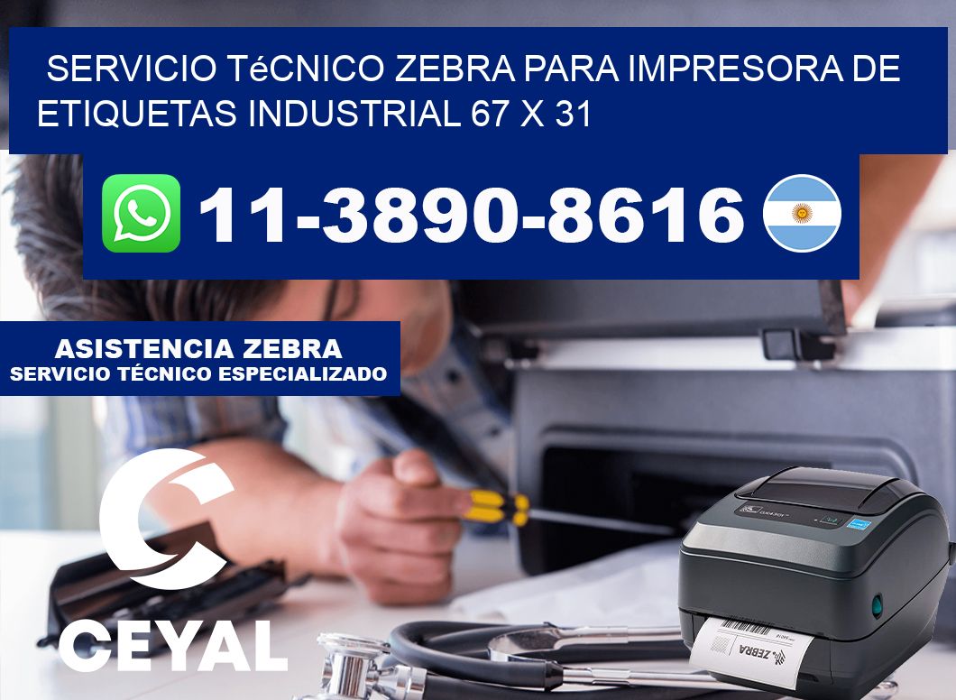 Servicio Técnico Zebra para Impresora de Etiquetas Industrial 67 x 31