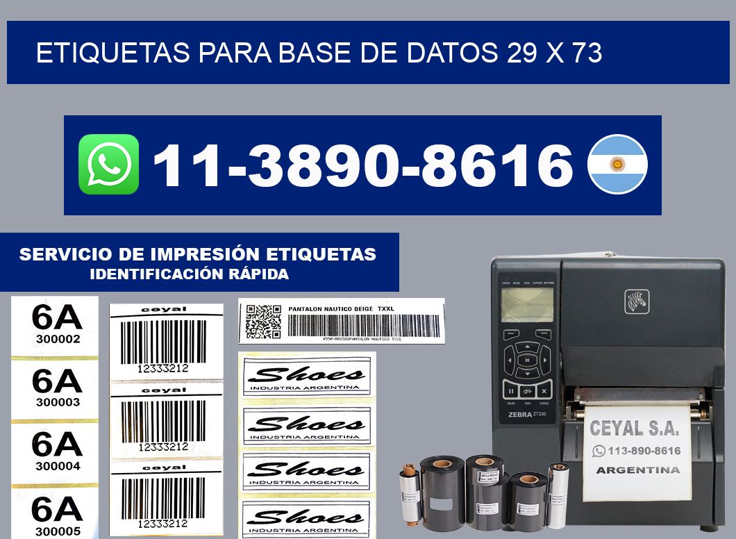 etiquetas para base de datos 29 x 73
