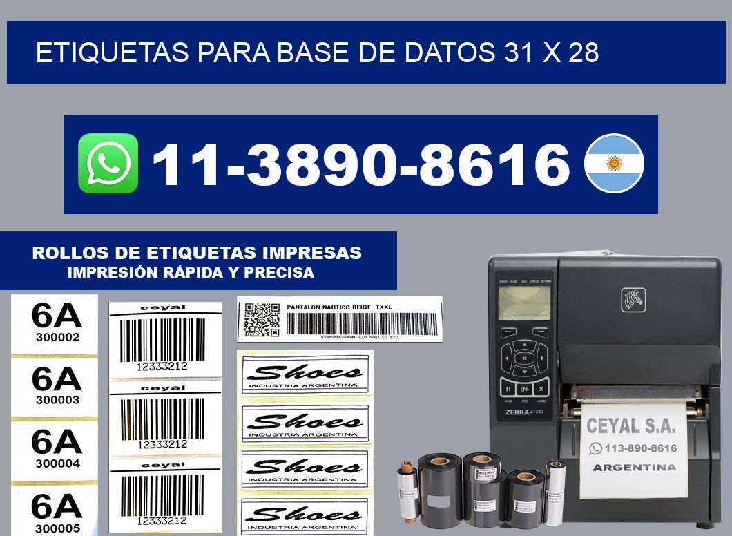 etiquetas para base de datos 31 x 28