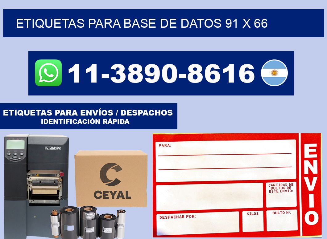 etiquetas para base de datos 91 x 66