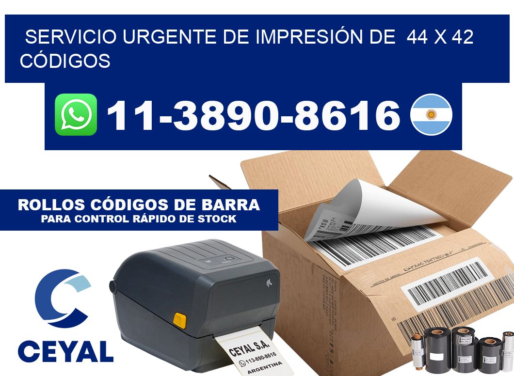 SERVICIO URGENTE DE IMPRESIÓN DE  44 x 42 CÓDIGOS