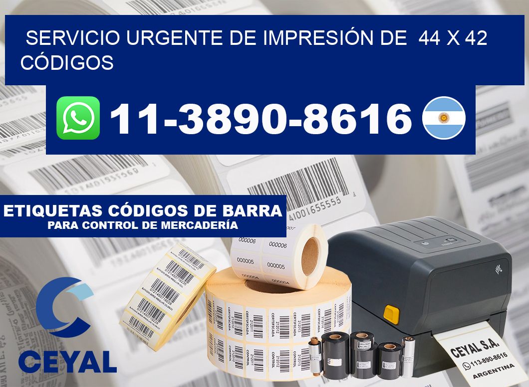 SERVICIO URGENTE DE IMPRESIÓN DE  44 x 42 CÓDIGOS