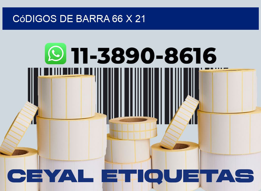 códigos de barra 66 x 21