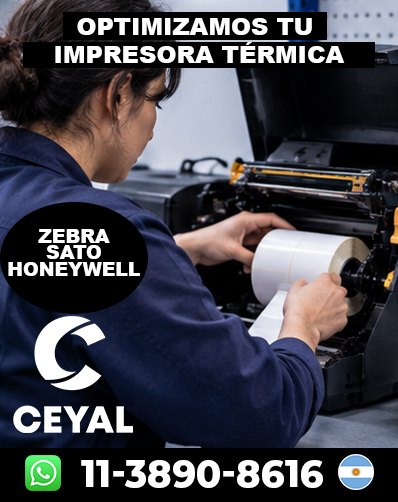Impresora Zebra ZD230 Con Etiquetas Y Ribbon Para Envíos – Tigre argentina